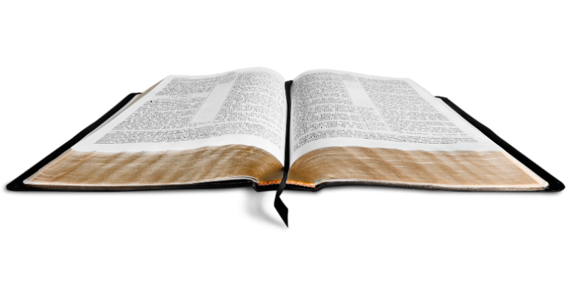 Bible 800 x 400